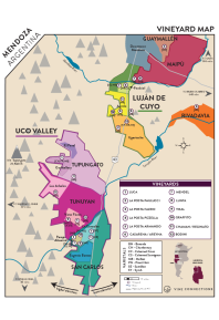 Cabernet Sauvignon 2019 Regional Map