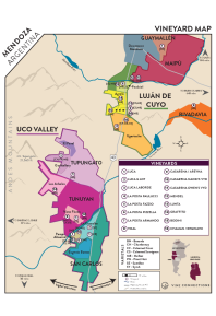 Pinot Noir 2021 Regional Map
