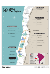 Cabernet Sauvignon, Los Lingues Vineyard 2021 Regional Map