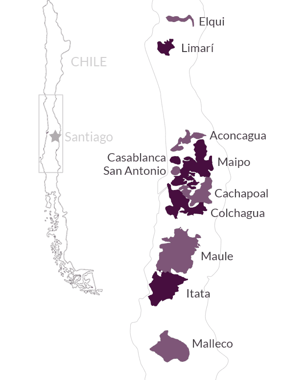 Overview of Vine Connections wine regions in Chile