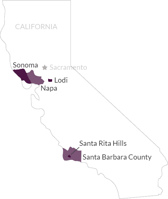 Overview of Vine Connections wine regions in Chile