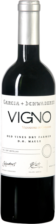 Vigno 2014