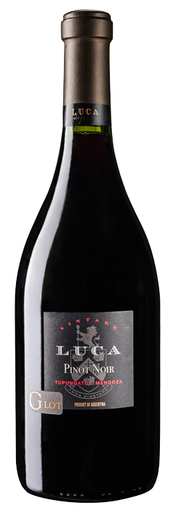Pinot Noir 2013