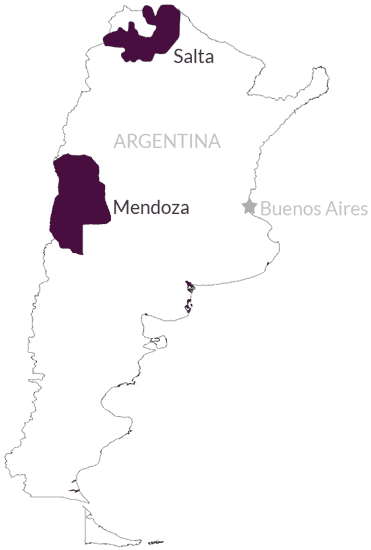 Overview of Vine Connections wine regions in Argentina
