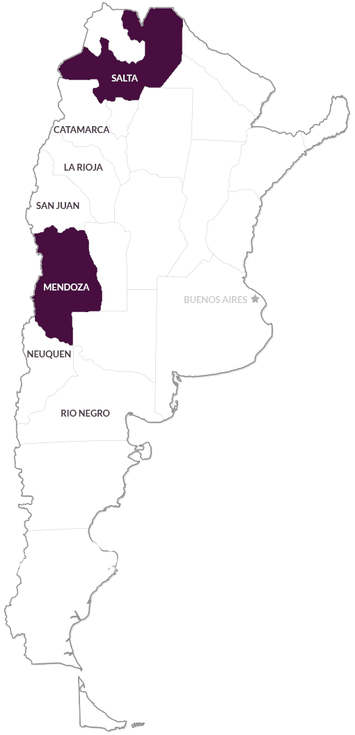 Argentine wine regions