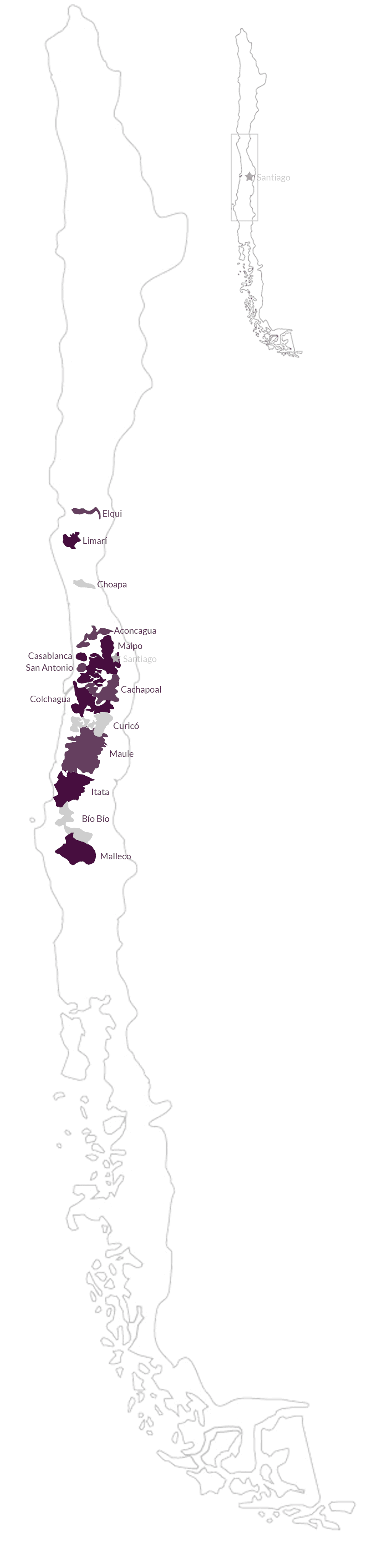 Chilean wine regions
