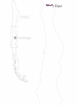 Pedro | Ximenez Vine 2021 Wine Chilean | Mayu Connections