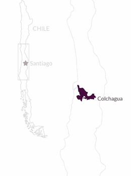 Casa Silva Microterroir 2016 | Chilean Wine | Vine Connections