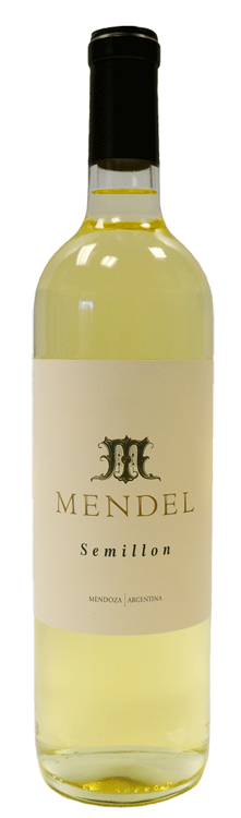 Semillon 2018