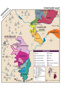 Cabernet Franc 2019 Regional Map