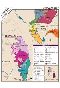 Cabernet Sauvignon 2021 Regional Map