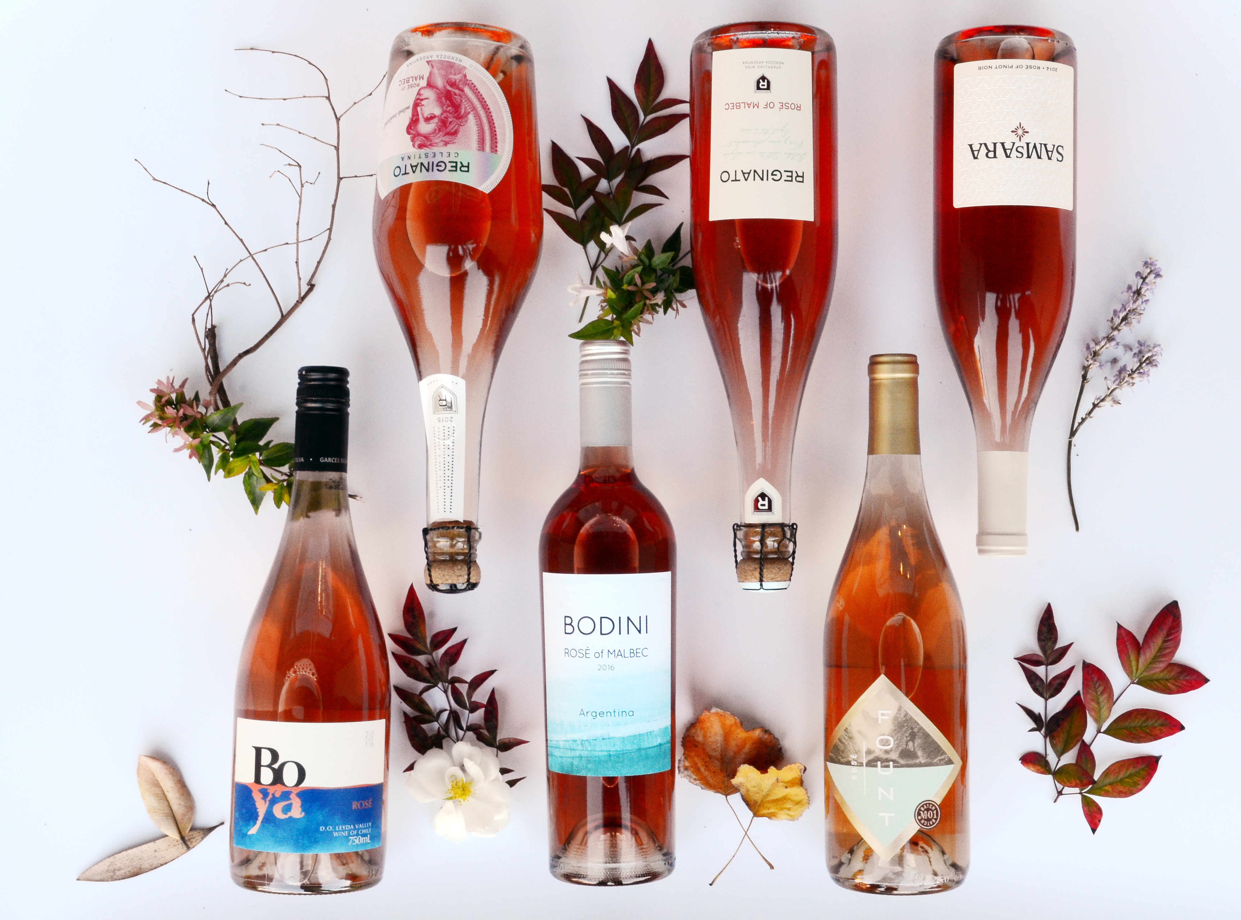 Rosé All Day (And All Year)!