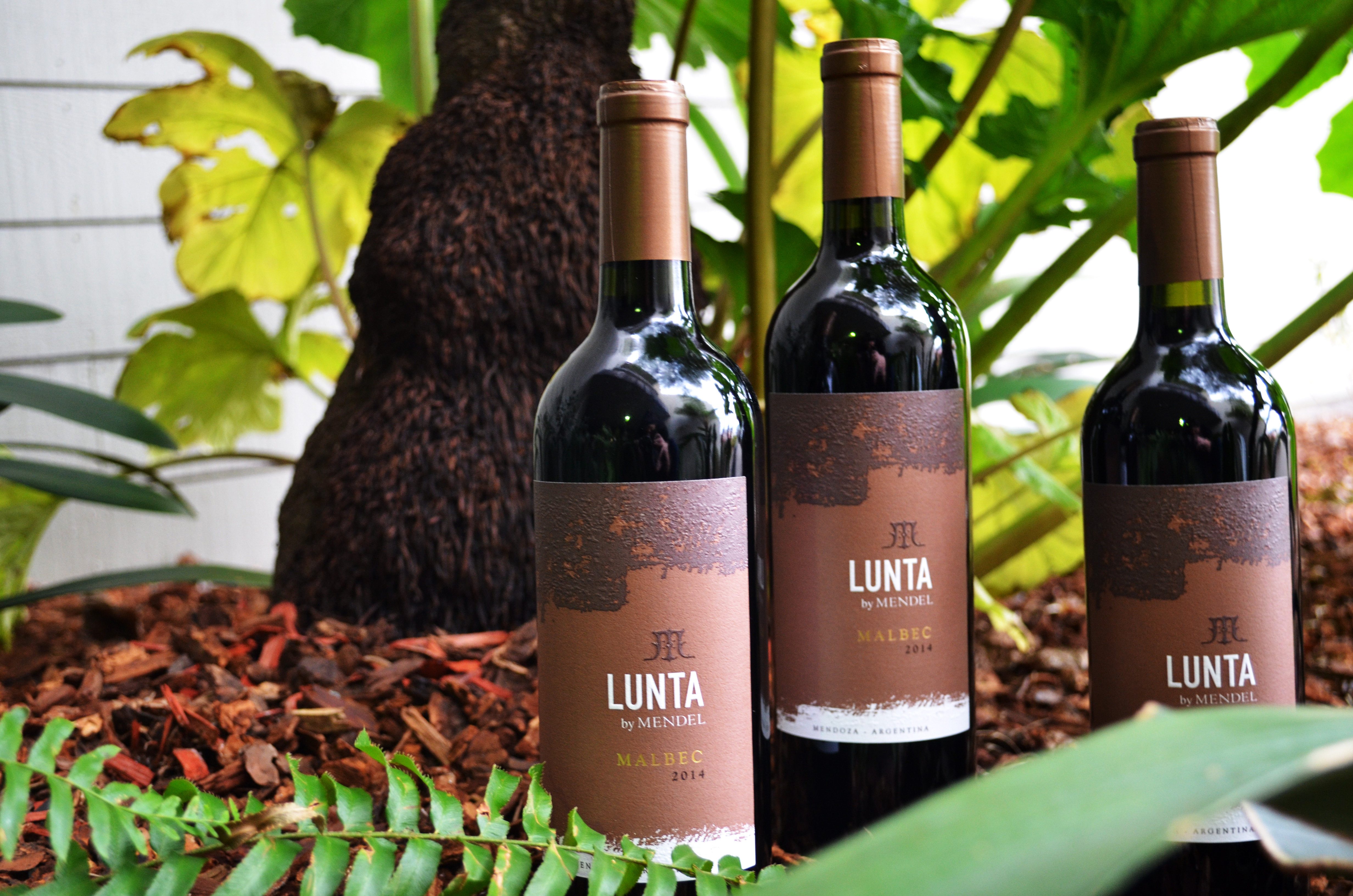 Now Available: 2014 Lunta Malbec in New Packaging!