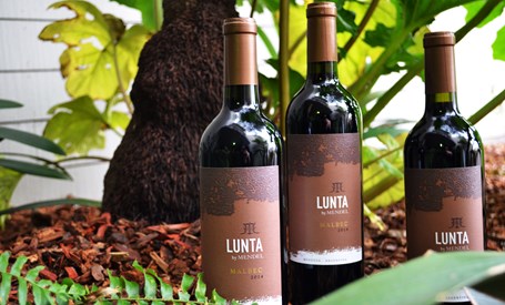 Now Available: 2014 Lunta Malbec in New Packaging!