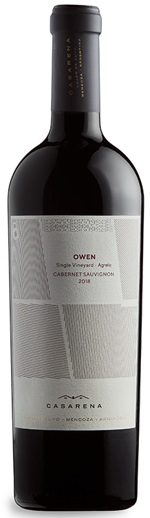 Casarena Single Vineyard Owen's Cabernet 2019 | Argentine Wine | Vine  Connections