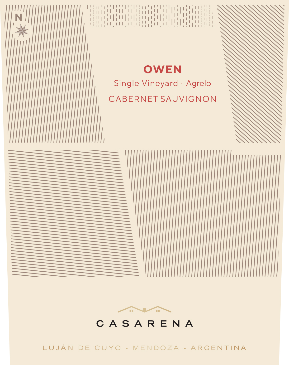 Vineyard 2019 | Vine Single Cabernet Argentine Casarena Owen\'s Connections | Wine