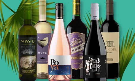 6 Wines To Drink This Summer