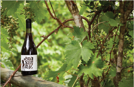 The Best 'Pais' Of The Holiday Pie