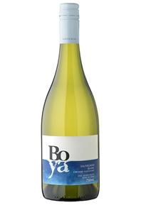 Sauvignon Blanc 2022 Bottle Shot