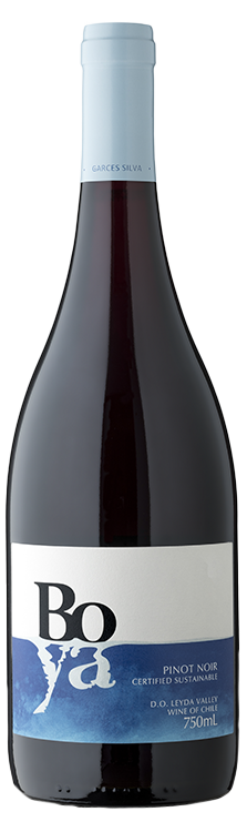 Boya Pinot Noir 2019 | Chilean Wine | Vine Connections