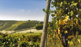 Giacosa Fratelli