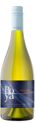 Sauvignon Blanc 2023