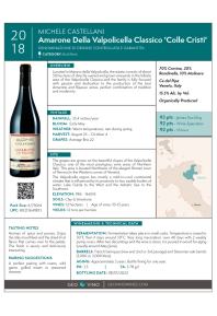 Amarone Della Valpolicella Classico 'Colle Cristi' 2019 Product Sheet