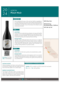 Pinot Noir 2024 Product Sheet