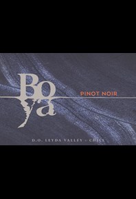 Pinot Noir 2023 Label