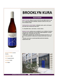 Blue Door Product Sheet