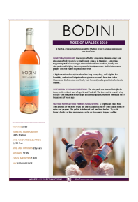 Rosé of Malbec 2019 Product Sheet