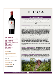 Nico by Luca 2019 Product Sheet