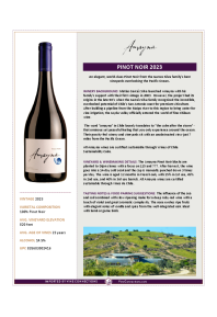 Pinot Noir 2023 Product Sheet
